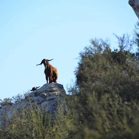 Cyprus-2 Bedrooms Both Ensuite Pool Patios Wifi * Polis