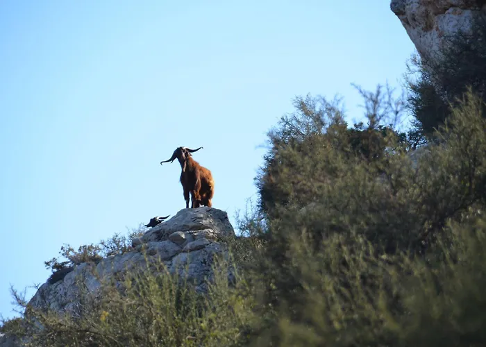 Cyprus-2 Bedrooms Both Ensuite Pool Patios Wifi * Polis